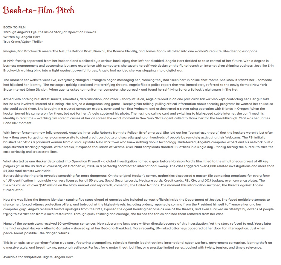 Book to Film Pitch — Through Angela's Eye: The Inside Story of Operation Firewall by Angela Hart